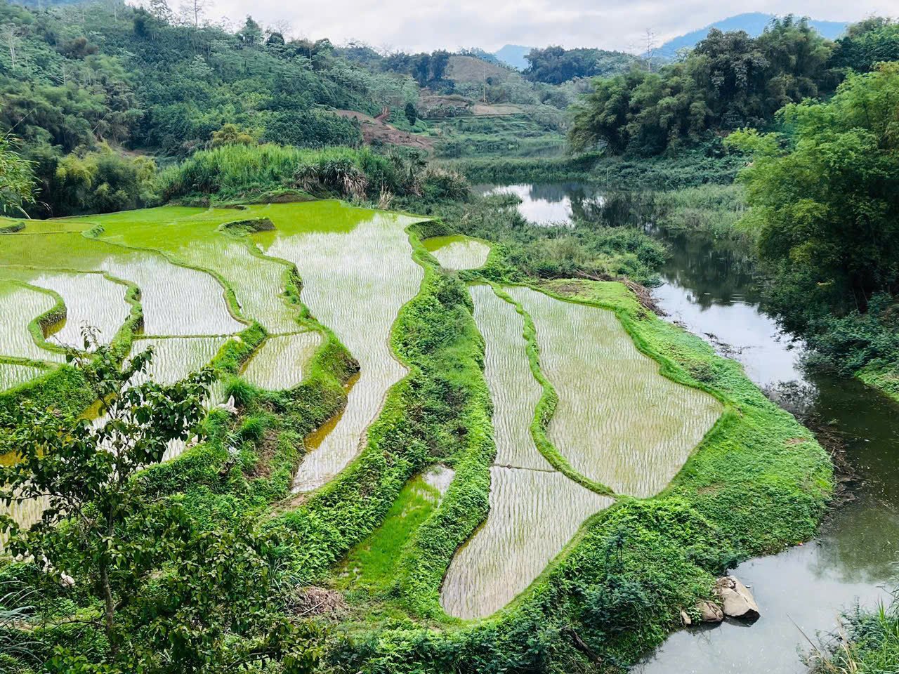 Guided E-Bike Tours in Northern Vietnam: The Expert-Led Way to Explore the Highlands